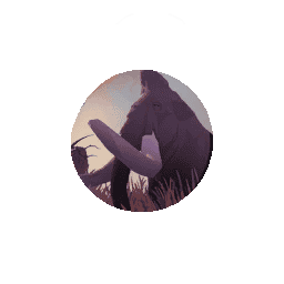 Hide Steppe Ancientmammoth