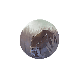 Adult Cougar