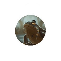 Hide Swamp Gianttoad