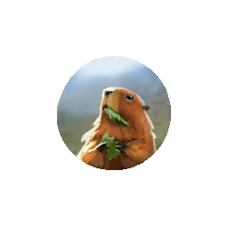Hill Marmot