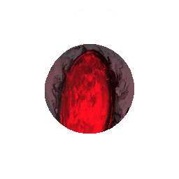 Obsessed Portal