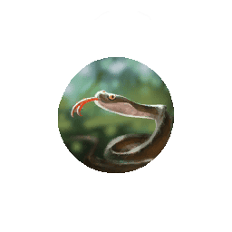 Hide Swamp Snake